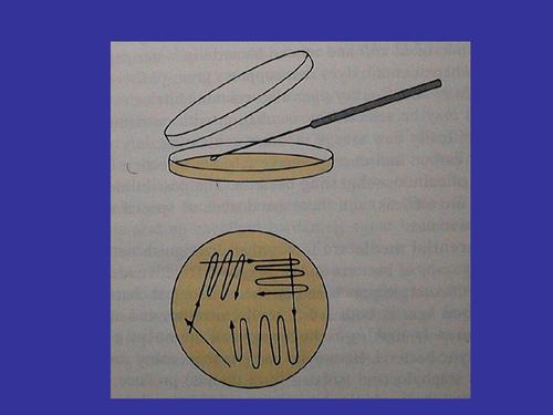 貴陽(yáng)生物技術(shù)服務(wù)公司 貴陽(yáng)生物技術(shù)服務(wù)公司